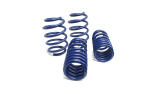 2010-2019 FORD TAURUS SHO/LINCOLN MKS LIVERNOIS MOTORSPORTS PERFORMANCE LOWERING KIT WITH H&R SPRINGS