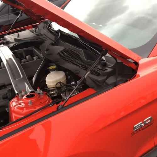 2015-2022 MUSTANG HOOD STRUT KIT