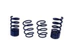 FORD PERFORMANCE LOWERING SPRINGS - 2015-2020 MUSTANG GT350