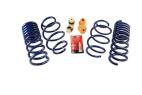 FORD PERFORMANCE STREET LOWERING SPRINGS - 2015-23 MUSTANG