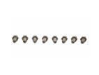 FORD PERFORMANCE FLYWHEEL BOLTS - 4.6L MODULAR