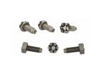 FORD PERFORMANCE FLYWHEEL BOLTS - 4.6L MODULAR