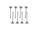 FORD PERFORMANCE LIGHT WEIGHT EXHAUST VALVES - 5.2L COYOTE