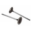 FORD PERFORMANCE LIGHT WEIGHT INTAKE VALVES - 5.2L COYOTE