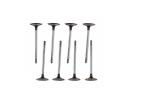 FORD PERFORMANCE LIGHT WEIGHT INTAKE VALVES - 5.2L COYOTE