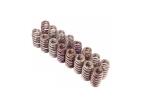FORD PERFORMANCE BOSS 302R VALVE SPRING KIT