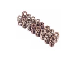 FORD PERFORMANCE BOSS 302R VALVE SPRING KIT