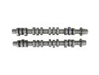 FORD PERFORMANCE  HIGH LIFT - HOTROD CAM SET - 2005-2010 MUSTANG GT