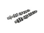 FORD PERFORMANCE  HIGH LIFT - HOTROD CAM SET - 2005-2010 MUSTANG GT