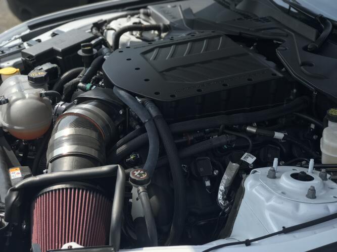 2018-2022 MUSTANG GT- STAGE 2 WHIPPLE 3.0L GEN 5 SUPERCHARGER SYSTEM