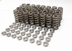 2015-2022 FORD 5.2L 4V LIVERNOIS MOTORSPORTS SPRING KIT