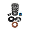 LIVERNOIS MOTORSPORTS LS7-ENGINE DUAL SPRING KIT - COMPLETE - TITANIUM RETAINER