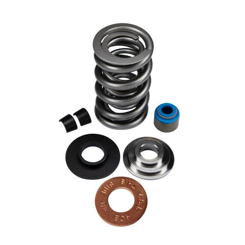 LIVERNOIS MOTORSPORTS LS7-ENGINE DUAL SPRING KIT - COMPLETE - TITANIUM RETAINER