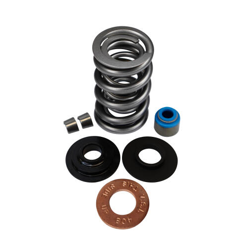 LIVERNOIS MOTORSPORTS LT1 - ENGINE DUAL SPRING KIT - COMPLETE - TITANIUM  RETAINER, LPP811118