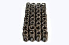 2011-2017 FORD 5.0L 4V LIVERNOIS MOTORSPORTS UPGRADED VALVE SPRING SET