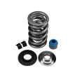 LIVERNOIS MOTORSPORTS LS-ENGINE DUAL SPRING KIT - COMPLETE - TITANIUM RETAINER