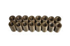 2005-2014 FORD 4.6L/5.4L 3V LIVERNOIS MOTORSPORTS UPGRADED VALVE SPRING SET OF 24