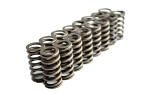 2005-2014 FORD 4.6L/5.4L 3V LIVERNOIS MOTORSPORTS UPGRADED VALVE SPRING SET OF 24