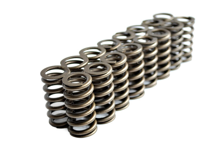 FORD 3VALVE UPGRADED VALVE SPRING SET 24 | LPP813113-24