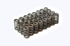 2011-2017 FORD 5.0L 4V LIVERNOIS MOTORSPORTS UPGRADED VALVE SPRING SET